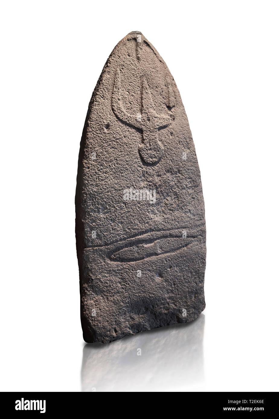 Tardo neolitico europeo Menhir preistorici di pietra permanente con intagli sulla sua faccia laterale. La rappresentazione di un stylalised figura maschile inizia a Foto Stock