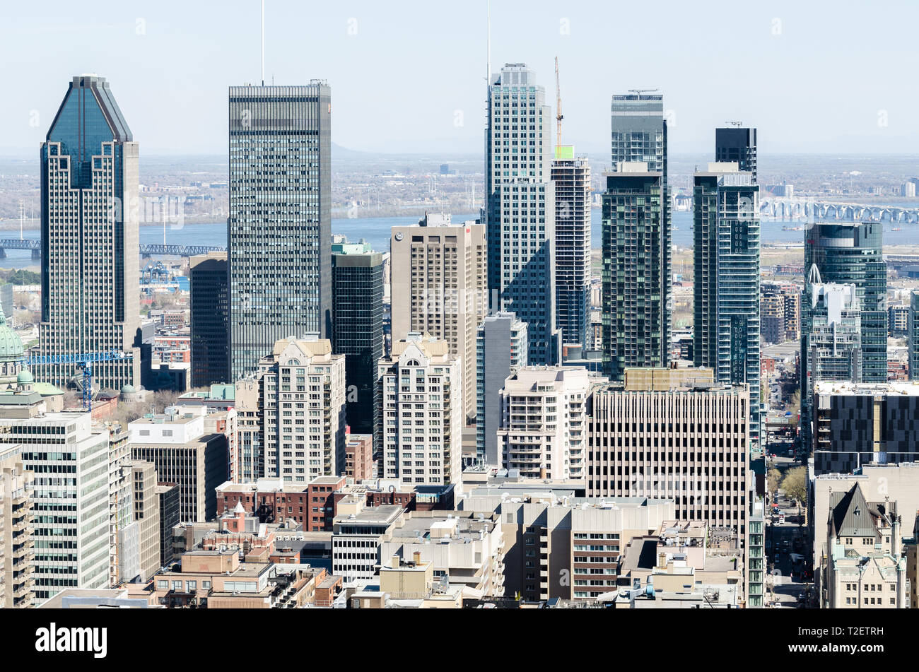 Lo skyline di Montreal dal Mont Royal, Provincia di Quebec, Canada Foto Stock