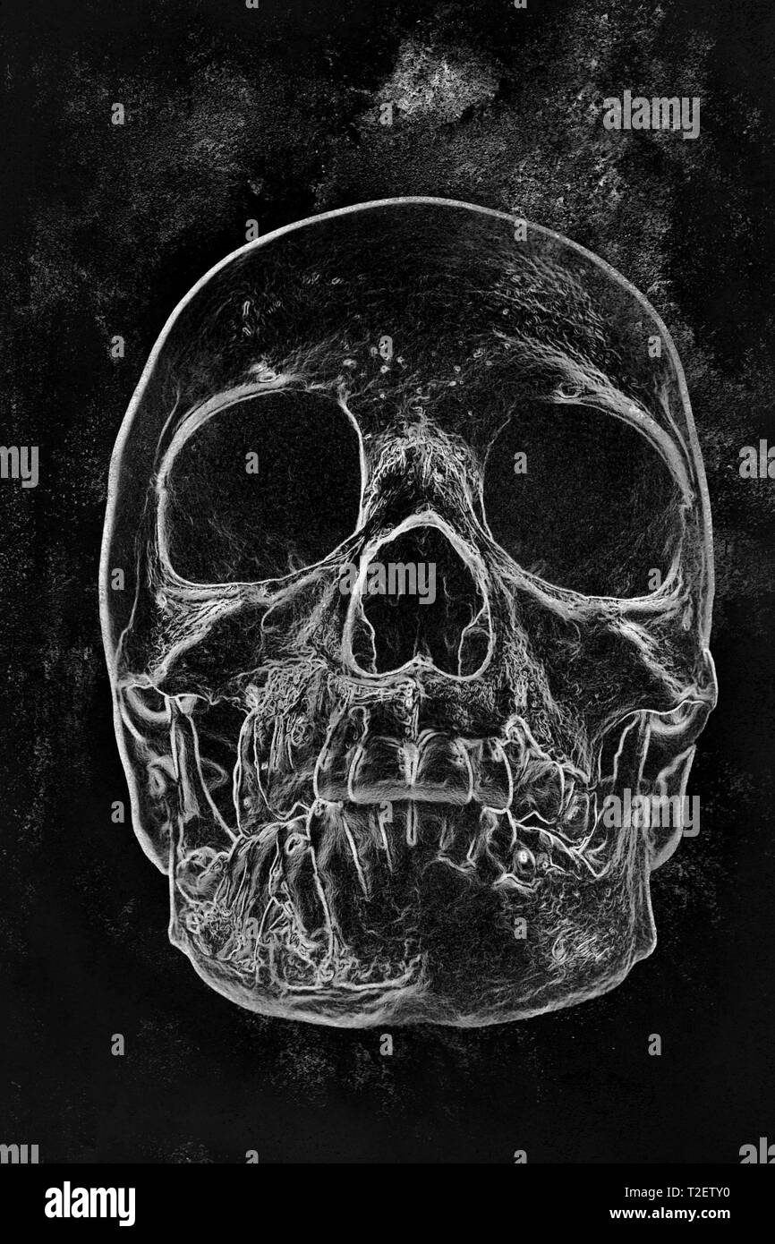 Illustrazione bianco su nero di un teschio umano Foto Stock