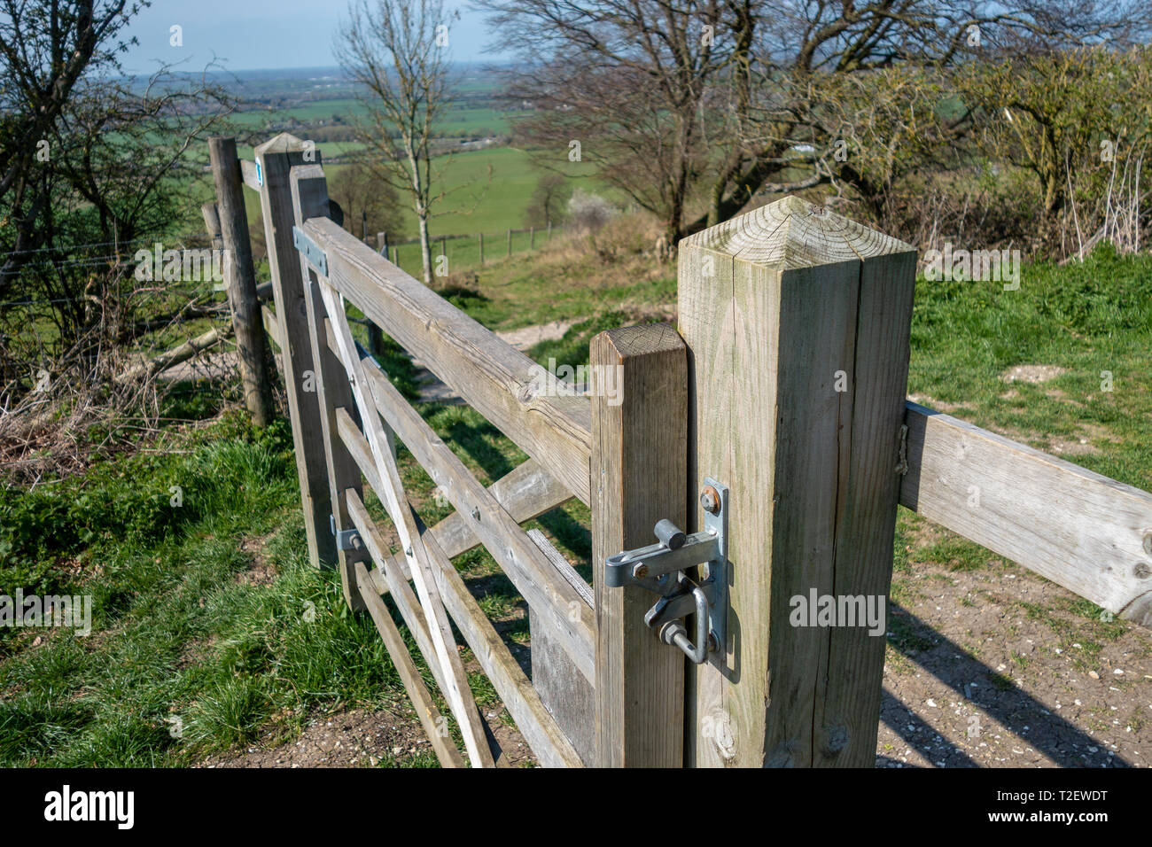 Dunstable Downs Foto Stock
