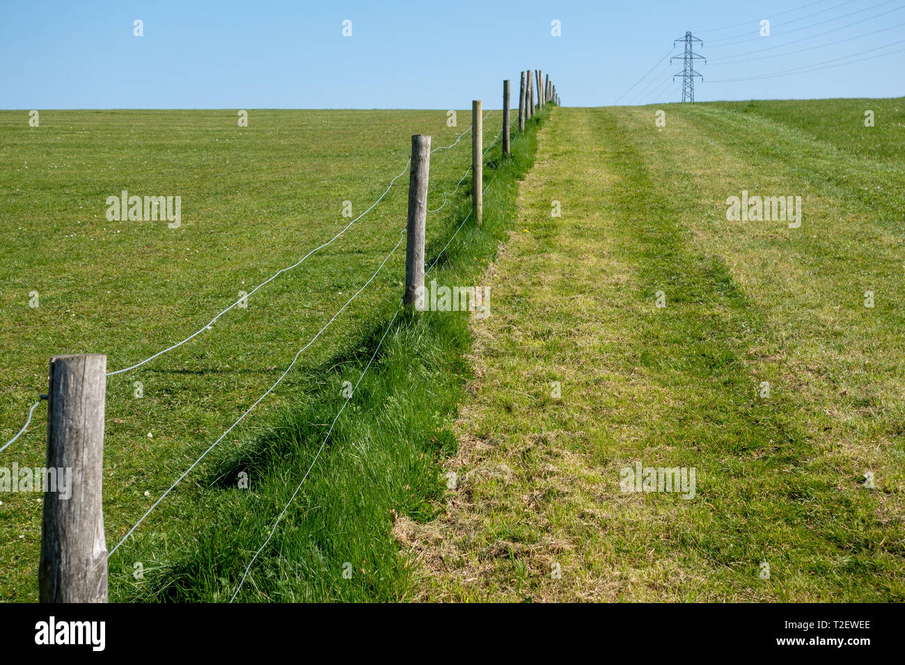 Dunstable Downs Foto Stock