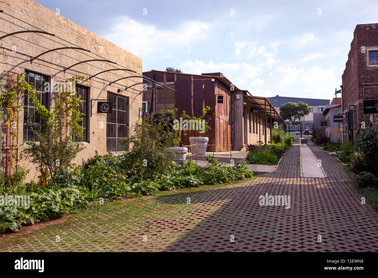 Johannesburg, Sud Africa, 30 Marzo - 2019: città interna del progetto di risanamento di vecchi edifici convertiti in workshop artistici. Foto Stock