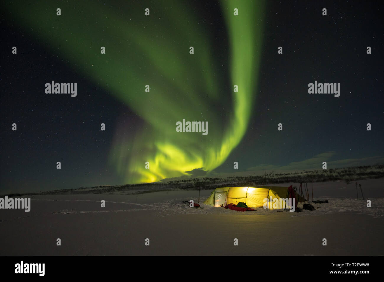 Aurora boreale sopra un inverno sci touring tenda. Altopiano Finnmarksvidda. Finnmark, Arctic Norvegia. Foto Stock