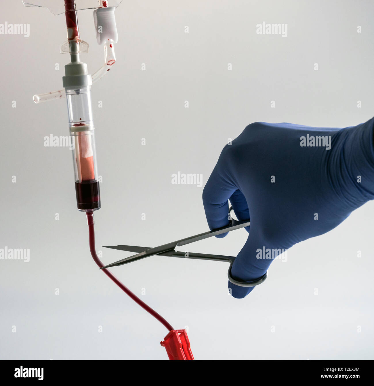 Medico a breve con le forbici la trasfusione di sangue, concetto eutanasia Foto Stock