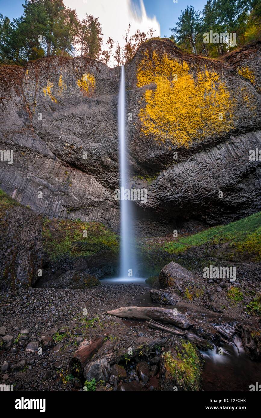 La cascata di fronte a rocce basaltiche, Latourell Falls, tempo di esposizione, Oregon, Stati Uniti d'America Foto Stock