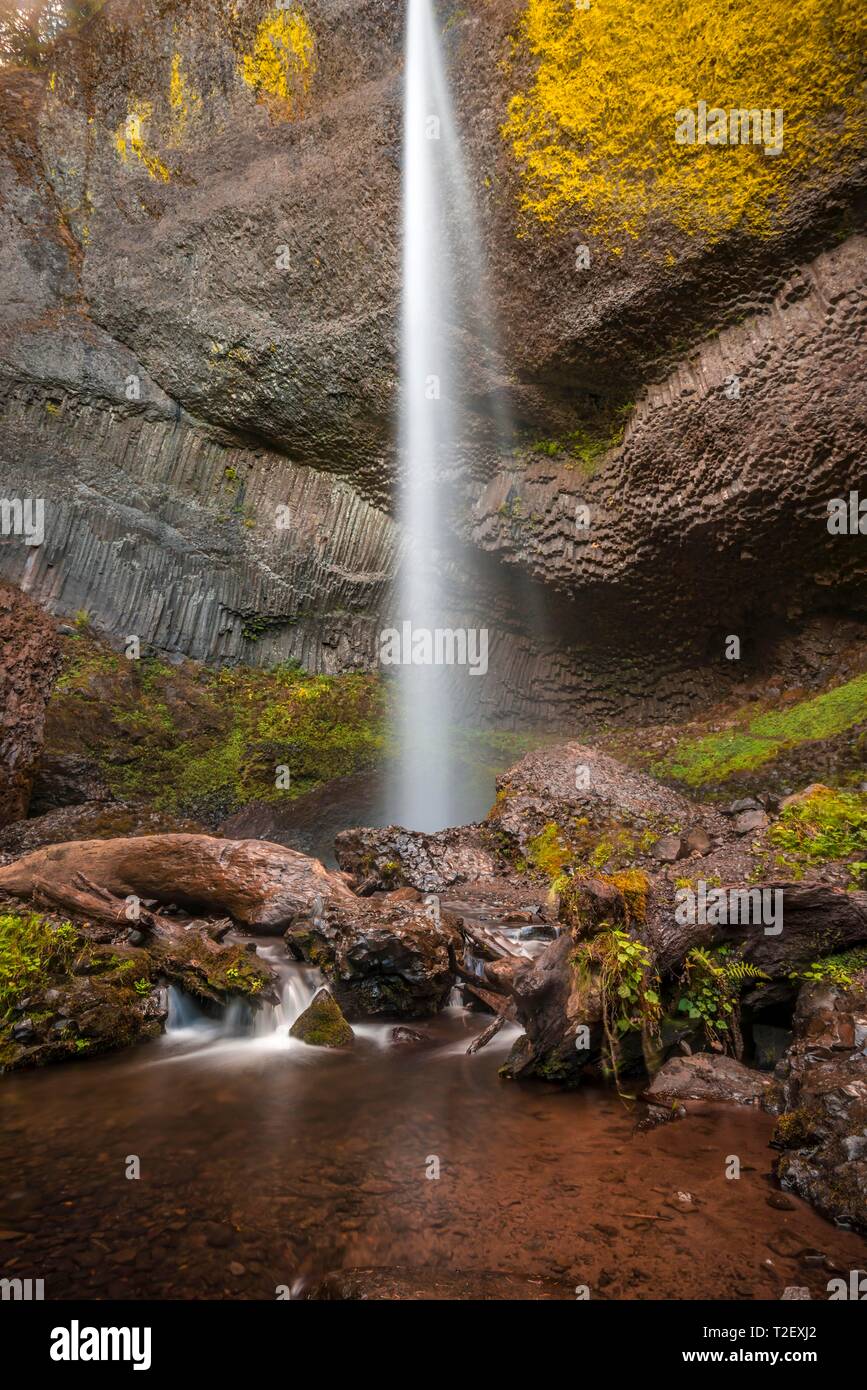 La cascata di fronte a rocce basaltiche, Latourell Falls, tempo di esposizione, Oregon, Stati Uniti d'America Foto Stock