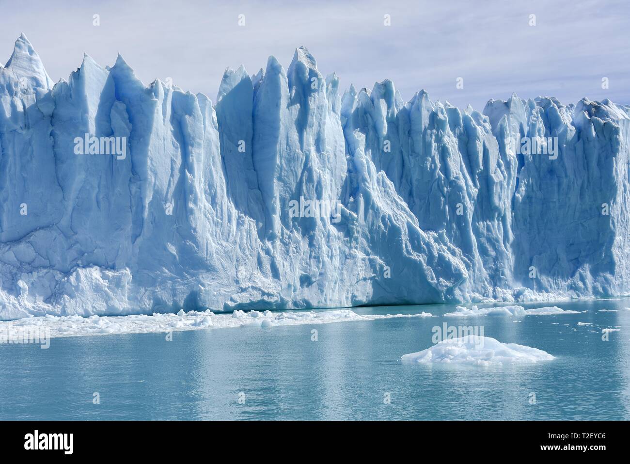 Lingua del ghiacciaio, Glaciar Ghiacciaio Perito Moreno, Abort bordo, parco nazionale Los Glaciares, Ande, El Calafate, Santa Cruz, Patagonia, Argentina Foto Stock