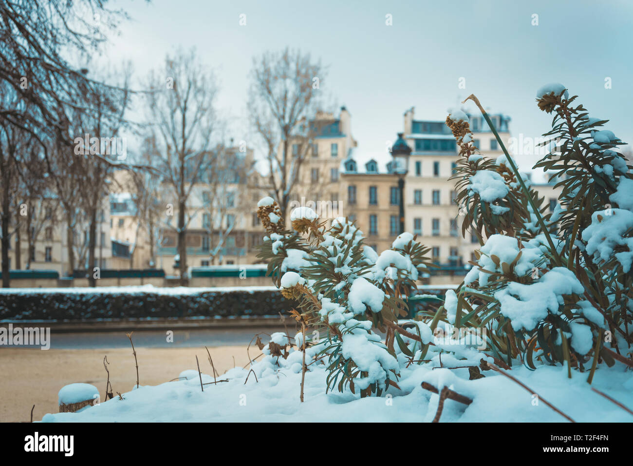 La neve si appoggia in parchi di Parigi in un autunno freddo. Foto Stock