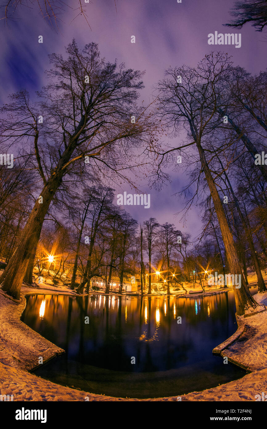 Scena notturna in un parco in inverno con un lago in primo piano e gli alberi alti in Bucarest Romania Foto Stock