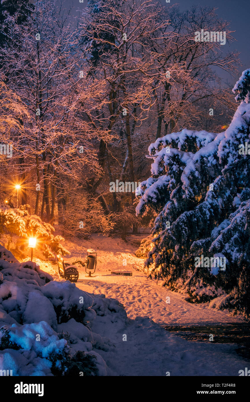 Scenic inverno scape con un sacco di neve ed una panca su una notte silenziosa in un parco dopo la neve caduta in Bucarest Romania Foto Stock
