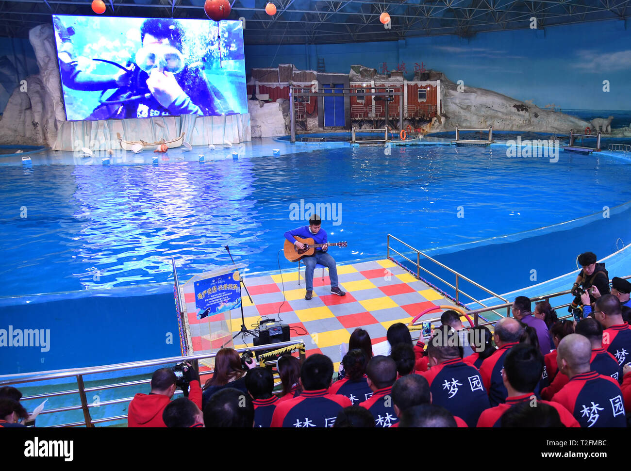 (190402) -- QINGDAO, 2 aprile 2019 (Xinhua) -- Zheng Senyou suona la chitarra per persone a Qingdao, Cina orientale della provincia di Shandong, il 1 aprile 2019. Zheng Senyou, un 16-anno vecchio adolescente, è stato diagnosticato autismo all'età di quattro anni. Come un bambino autistico, egli soffre di socializzare e linguaggio. Come comune di cure mediche hanno contribuito poco, Zheng e la sua famiglia sono stati in cerca di opzioni e avuto modo di conoscere DFH (Immersioni per l'umanità), un non remunerative di organizzazione e il trattamento di immersione. Dopo un periodo di nove mesi di trattamento, la sua riduzione di valore è stata alleviata. Un giorno in anticipo del mondo auti Foto Stock