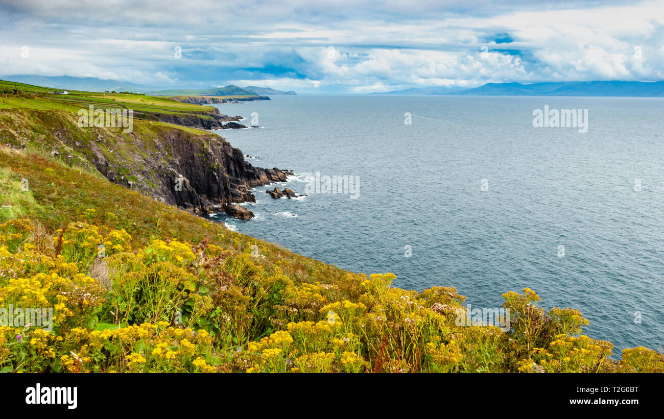 L'Irlanda Costa nella Contea di Kerry - Irlanda Foto Stock