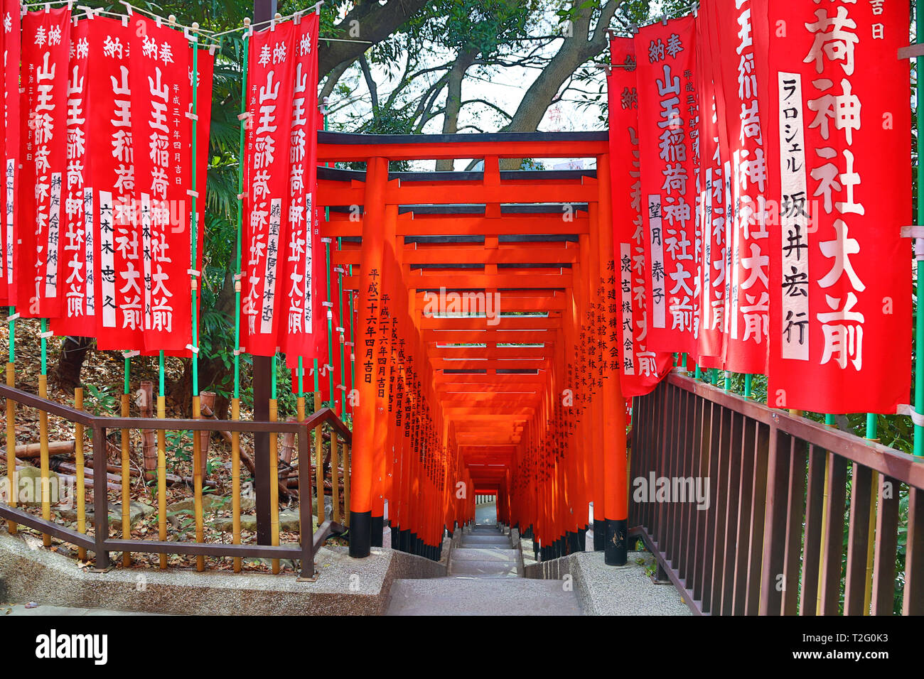 Tunnel di red Torii gates all'Hie Santuario a Asakasa, Tokyo, Giappone Foto Stock