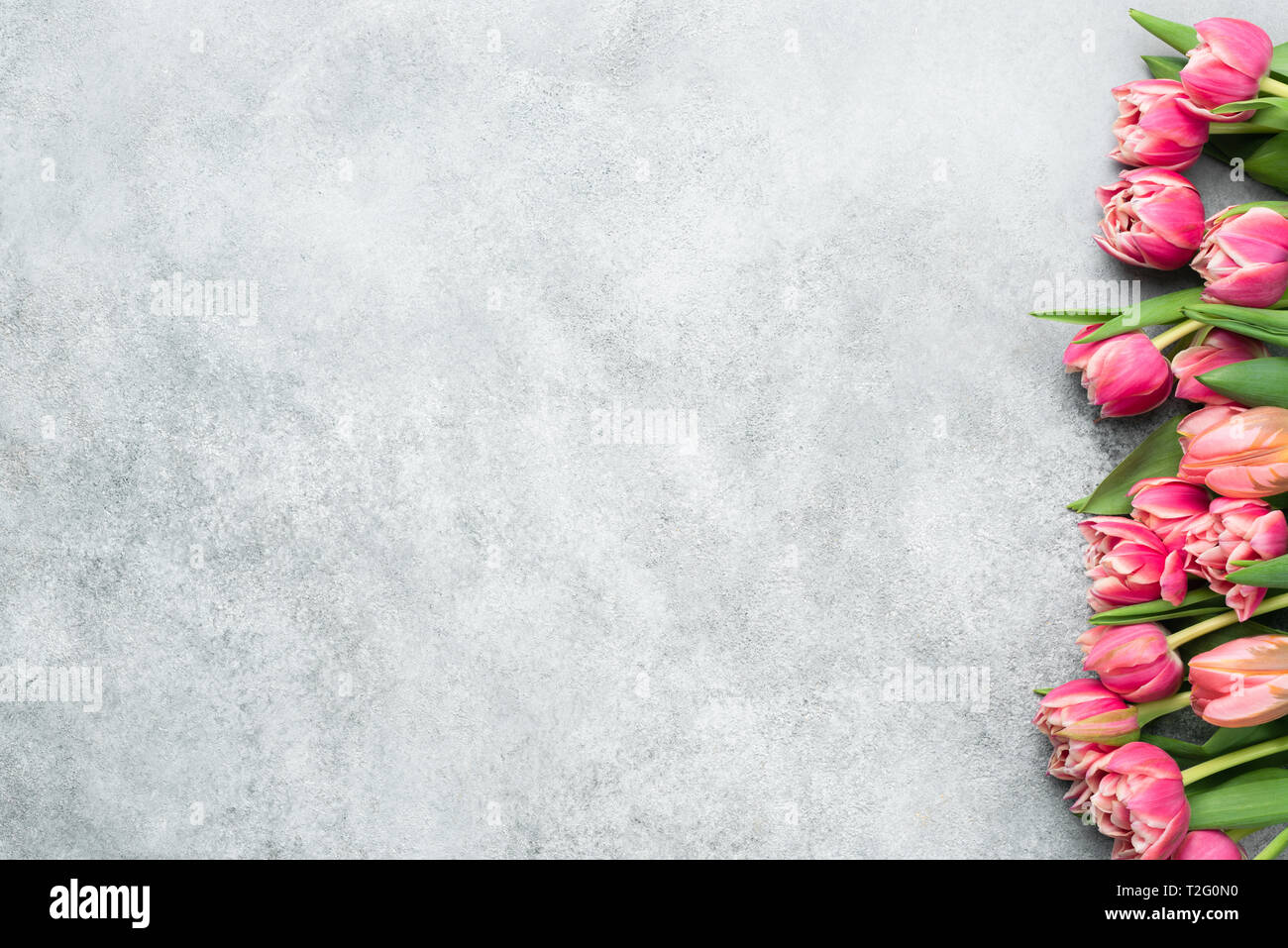 Rosa peonia tulipani sfondo floreale con copia spazio per il testo. Giornata della madre, la Giornata della donna, della molla o Floral Design Concept Foto Stock