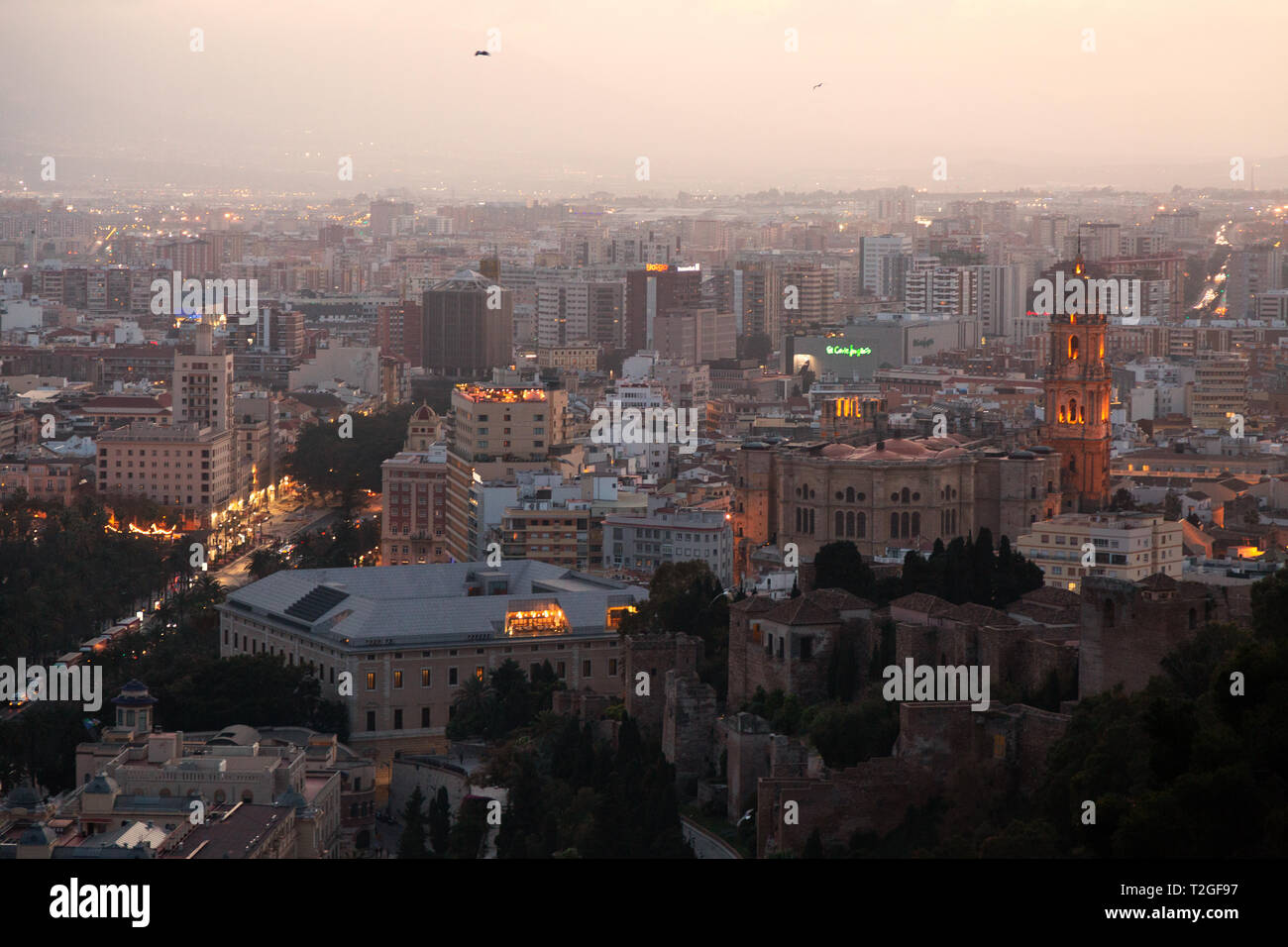 Cityscape skyline di Malaga città vecchia e la Cattedrale al tramonto, Malaga Andalusia Spagna Foto Stock