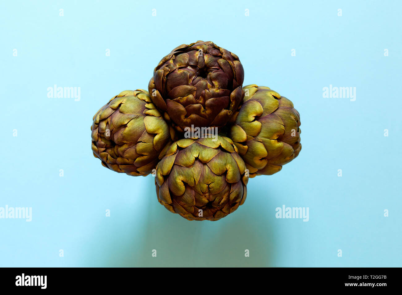 Gruppo di 4 carciofi isolato dal di sopra su un sfondo ciano flatlay concept Foto Stock