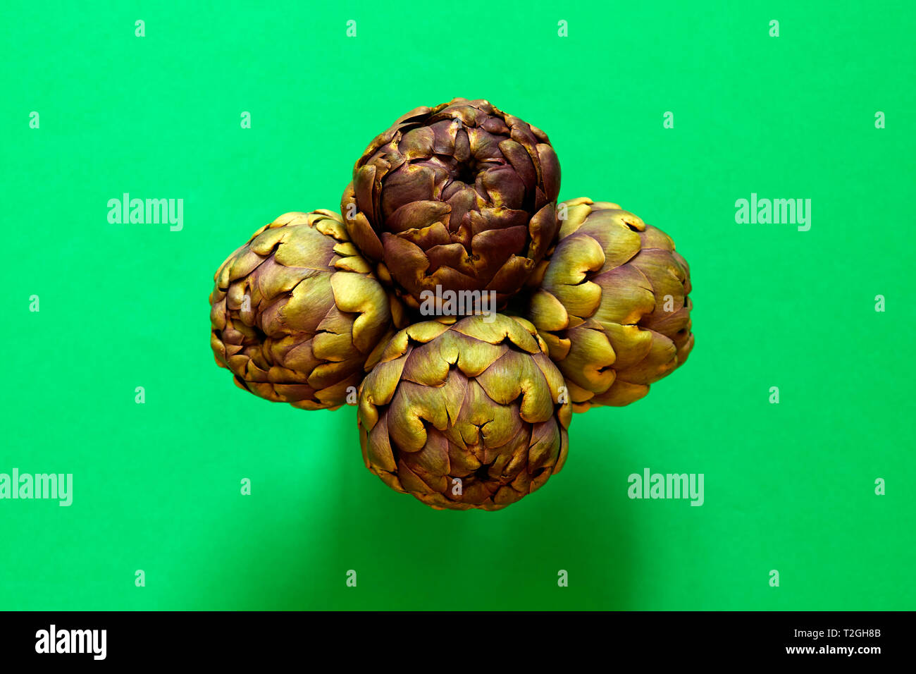 Gruppo di 4 carciofi isolato da sopra uno sfondo verde flatlay concept Foto Stock
