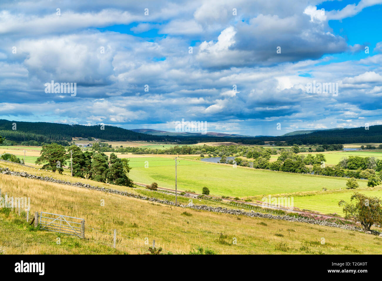 Guardando attraverso fiume Spey a Grantown on Spey di Cairngorms, Highland, Scotland, Regno Unito Foto Stock