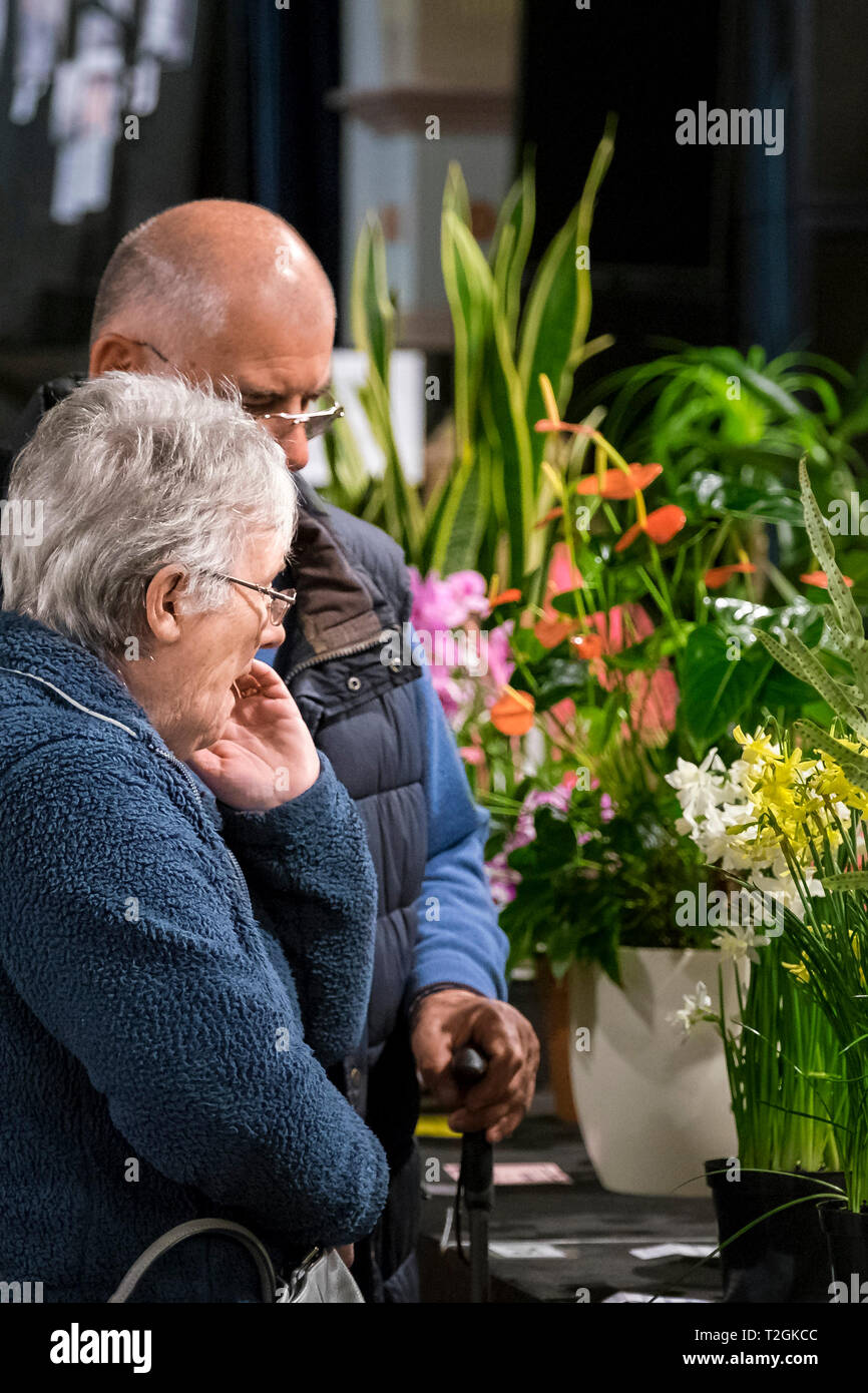 Visitatori guardando presenta a un flower show. Foto Stock