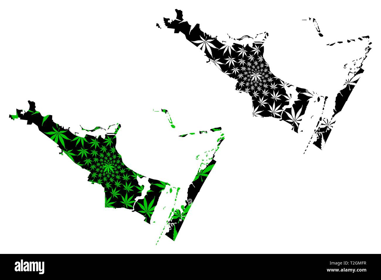 Corpus Christi città (Stati Uniti d'America, USA, Stati Uniti, noi, Stati Uniti città, stati uniti d'America city)- mappa è progettato Cannabis leaf green, Città del Corpus Chr Illustrazione Vettoriale