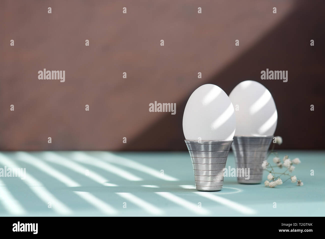 Elegante sfondo di Pasqua con due uova bianche nelle gabbie decorate con fiori di gara, spazio di copia Foto Stock