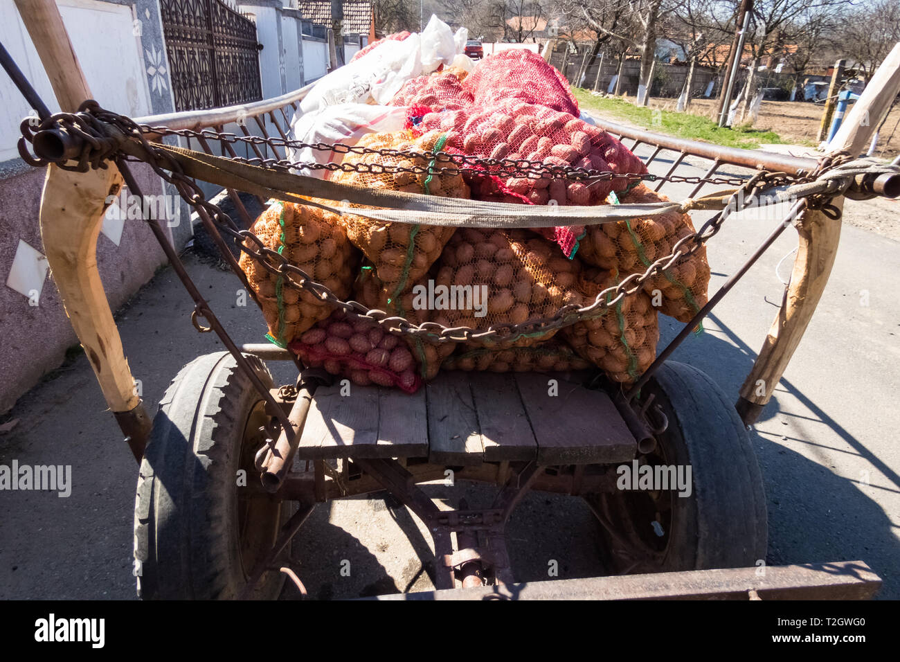 I sacchi con patate sul retro di un vecchio carrello di legno Foto Stock