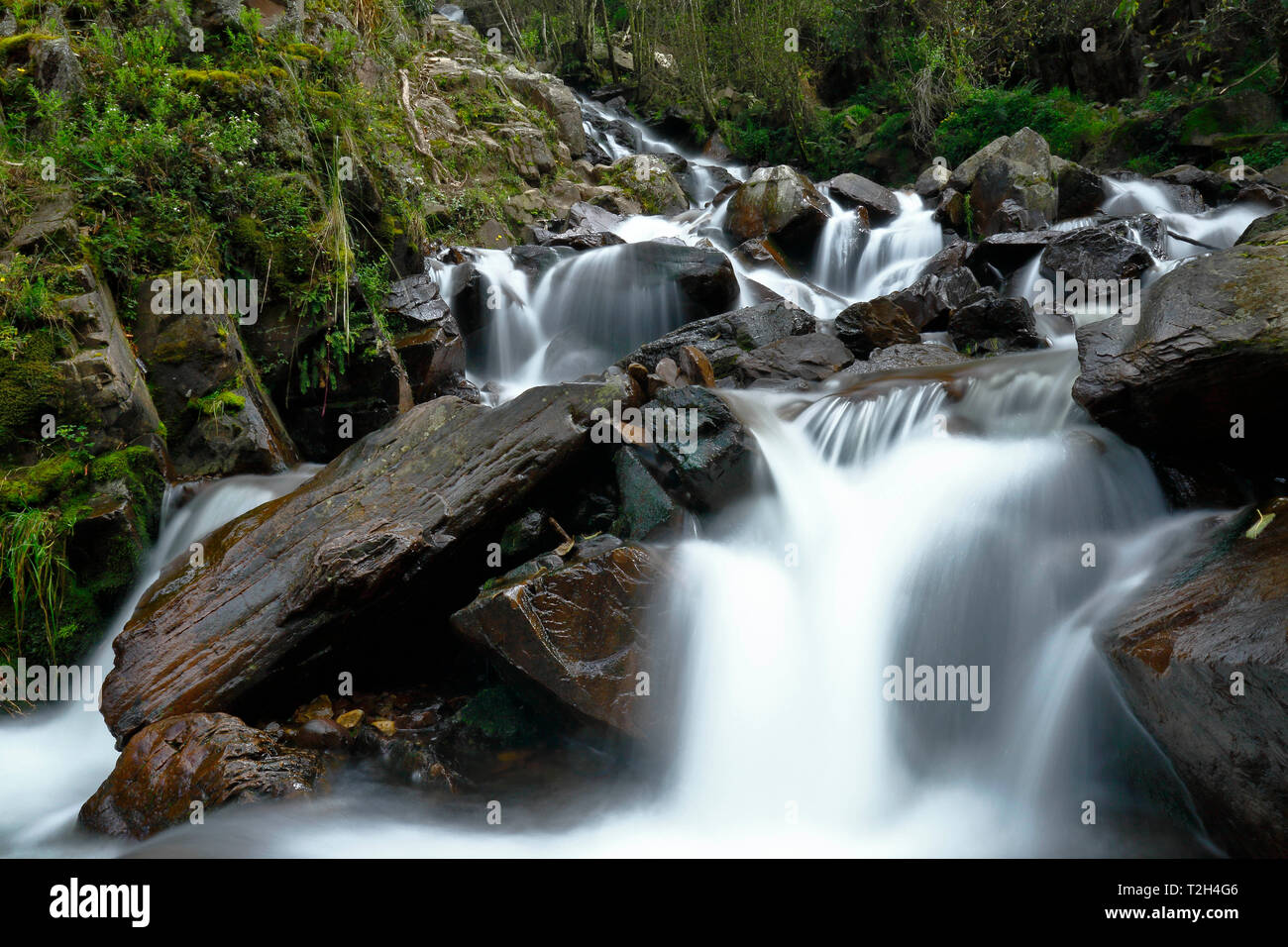 Le bellezze naturali della caduta di acqua all'interno della foresta andina in un flusso denominato Miraflores si trova nelle montagne. Foto Stock