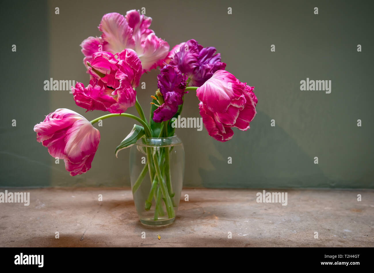 Grappolo informale di tagliare i tulipani in un vaso di vetro. Foto Stock