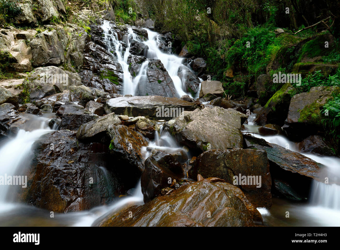 Le bellezze naturali della caduta di acqua all'interno della foresta andina in un flusso denominato Miraflores si trova nelle montagne. Foto Stock