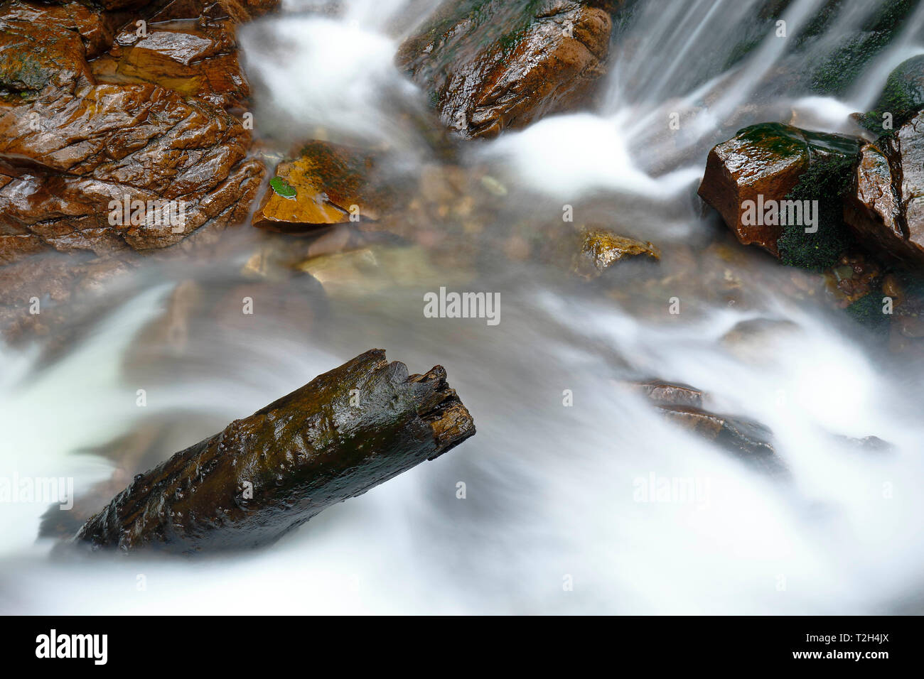 Le bellezze naturali della caduta di acqua all'interno della foresta andina in un flusso denominato Miraflores si trova nelle montagne. Foto Stock