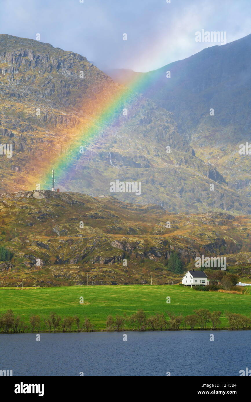 Rainbow sulla montagna in Leknes, Isole Lofoten in Norvegia, Europa Foto Stock