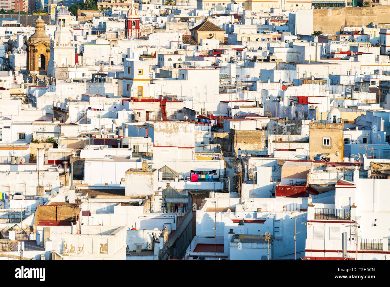 Vista dalla Torre Tavira di case bianche a Cadice, Spagna, Europa Foto Stock