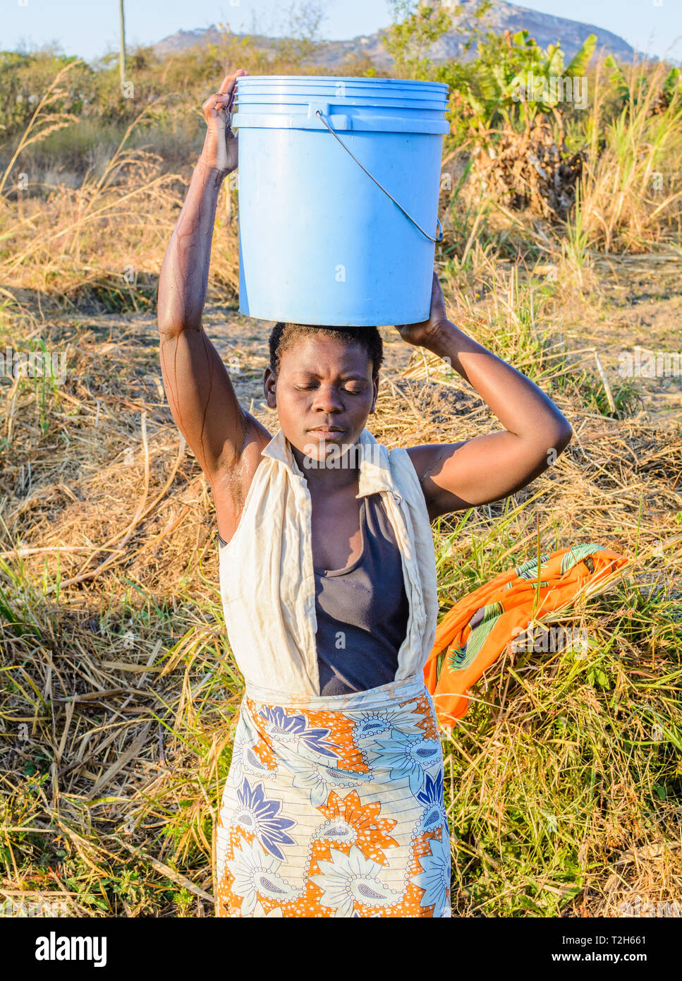 Donna malawiana porta grande secchio di plastica di acqua sulla sua testa Foto Stock