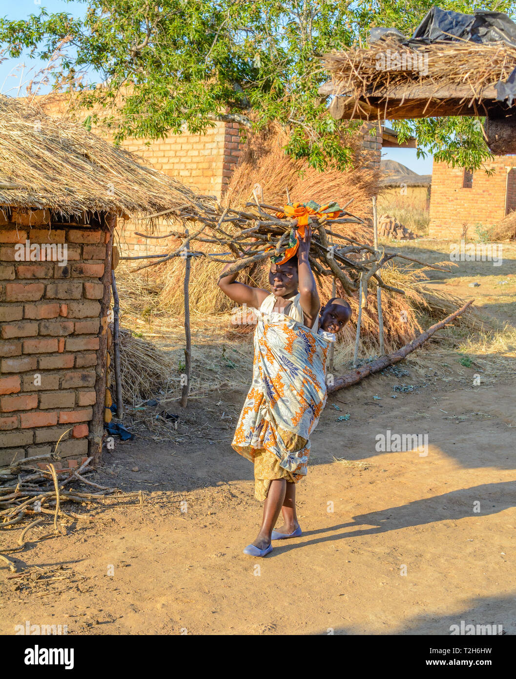 Donna malawiana porta legna da ardere per la sua testa con il suo bambino sulla schiena fuori la sua cucina in un villaggio Foto Stock
