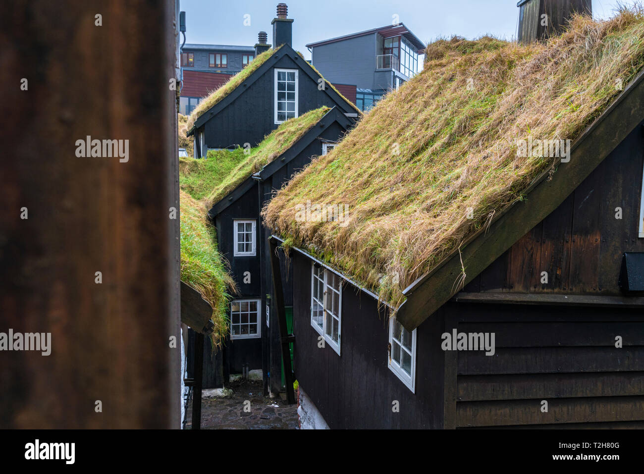 Case in legno con tetto in erba, Torshavn, Streymoy isola, isole Faerøer, Danimarca Foto Stock