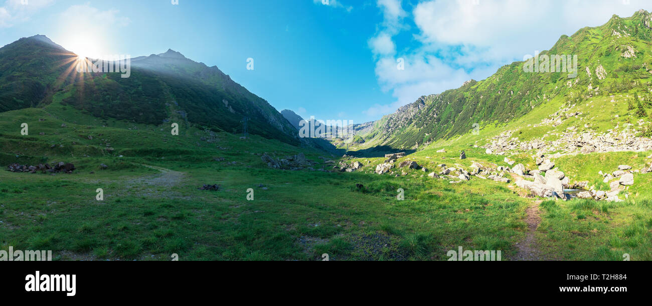 Splendida valle dei monti fagaras in estate. Un paesaggio fantastico di Romania presso sunrise. posizione tra transfagarasan road e balea creek. hig Foto Stock