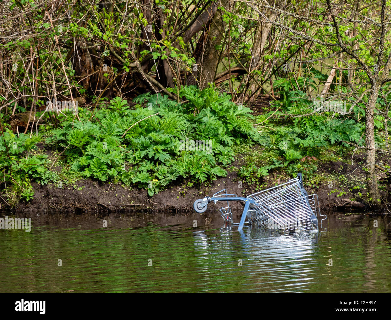 Carrello cromato a banca di stagno buttato in acqua. Foto Stock