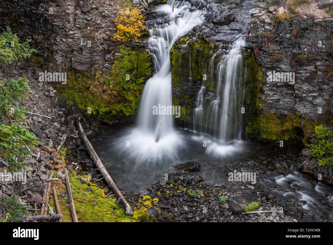 Cascata, Double cade, il fiume selvaggio Tumalo Creek, piegare Deschutes County, Oregon, Stati Uniti d'America Foto Stock
