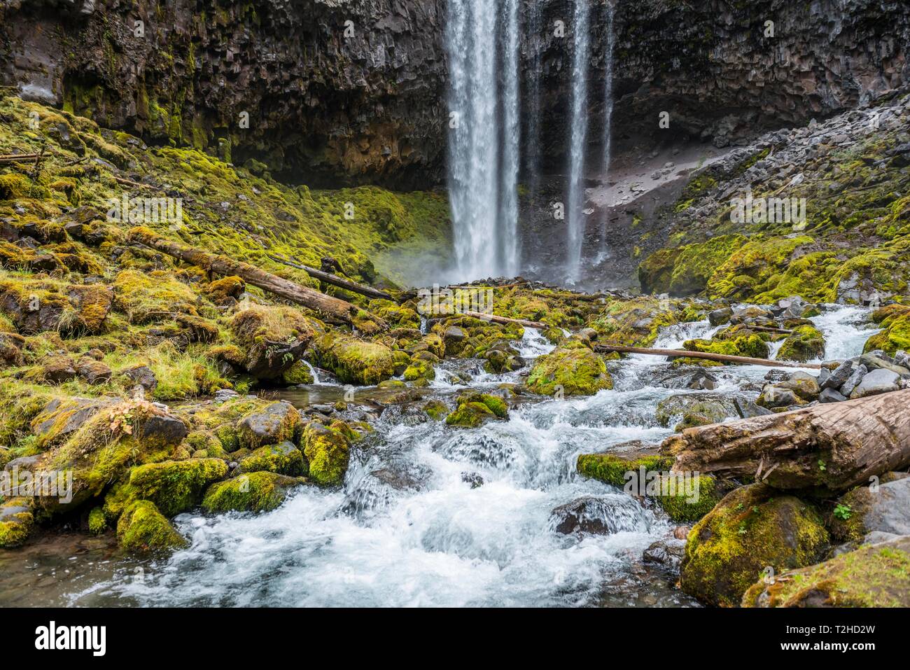 Cascata, Tamanawas cade, il fiume selvaggio Cold Spring Creek, Oregon, Stati Uniti d'America Foto Stock