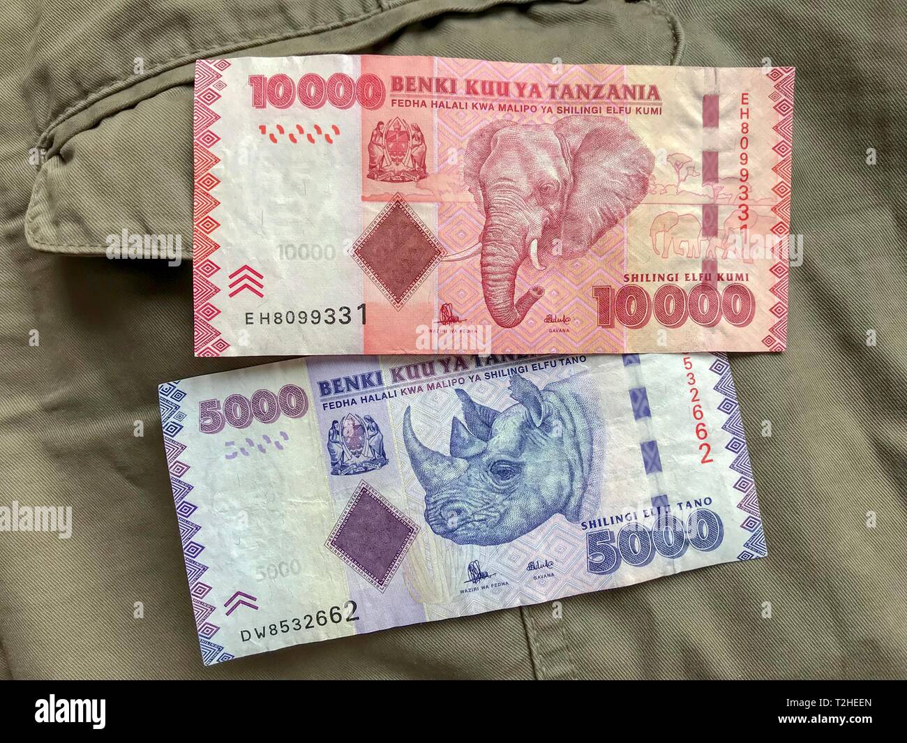 La valuta della Tanzania, di banconote con raffigurata elefante e rinoceronte su safari vestiti, immagine simbolica di frodo, Tanzania Foto Stock