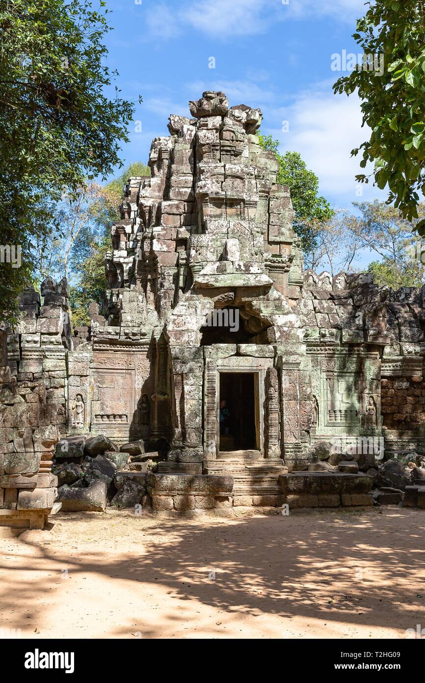 Ta Som tempio, Siem Reap provincia, Cambogia, Asia Foto Stock