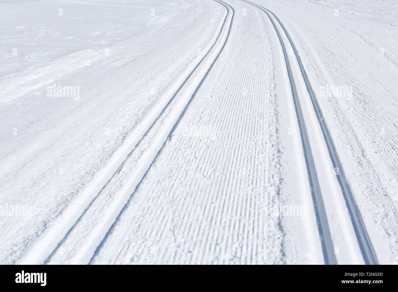 Tracciato di cross-country, pattinaggio e Nordic via, San Martino di Castrozza, Trento, Italia Foto Stock