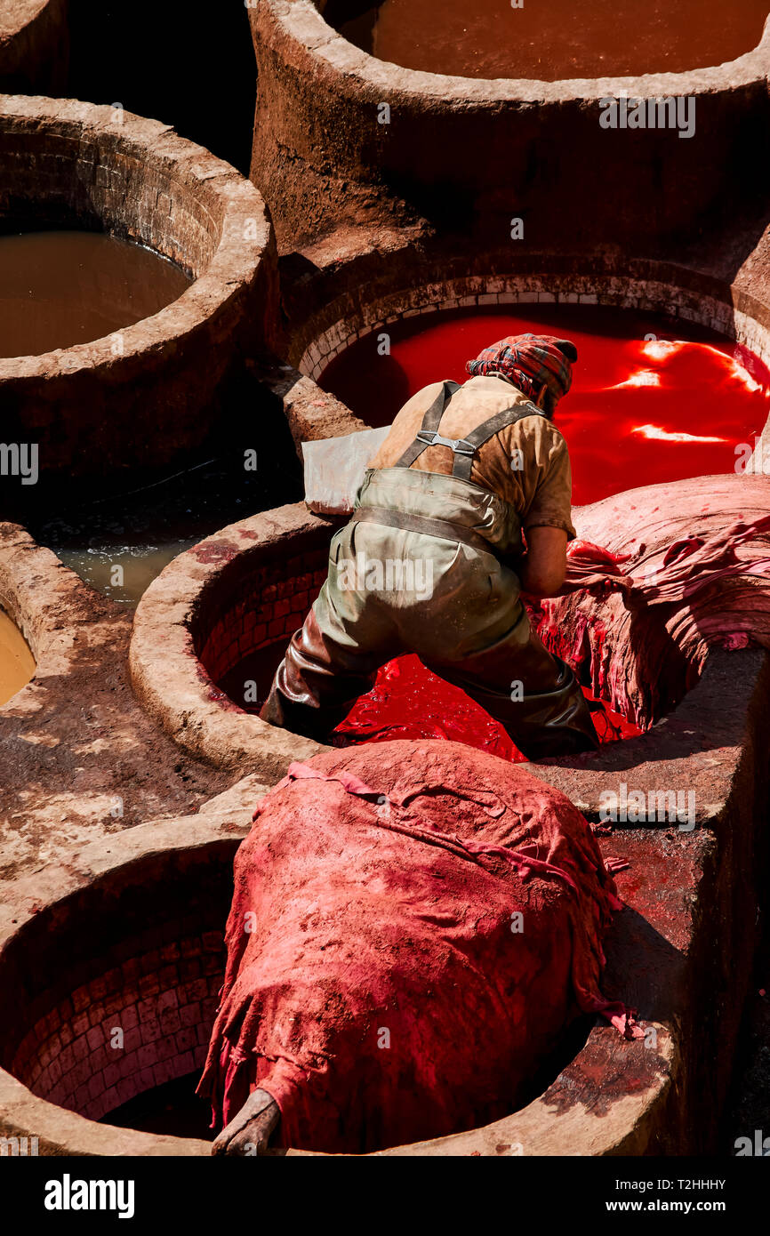 Il Marocco Fes Medina La conceria CHOUARA nasconde in vasche con pigmenti colorati e un lavoratore di trasformazione in pelle rossa Foto Stock