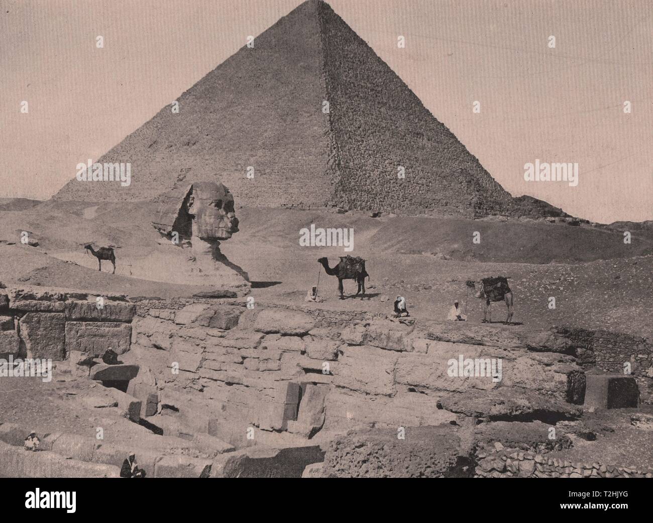 Grandi Piramidi e la Sfinge, Egitto Foto Stock