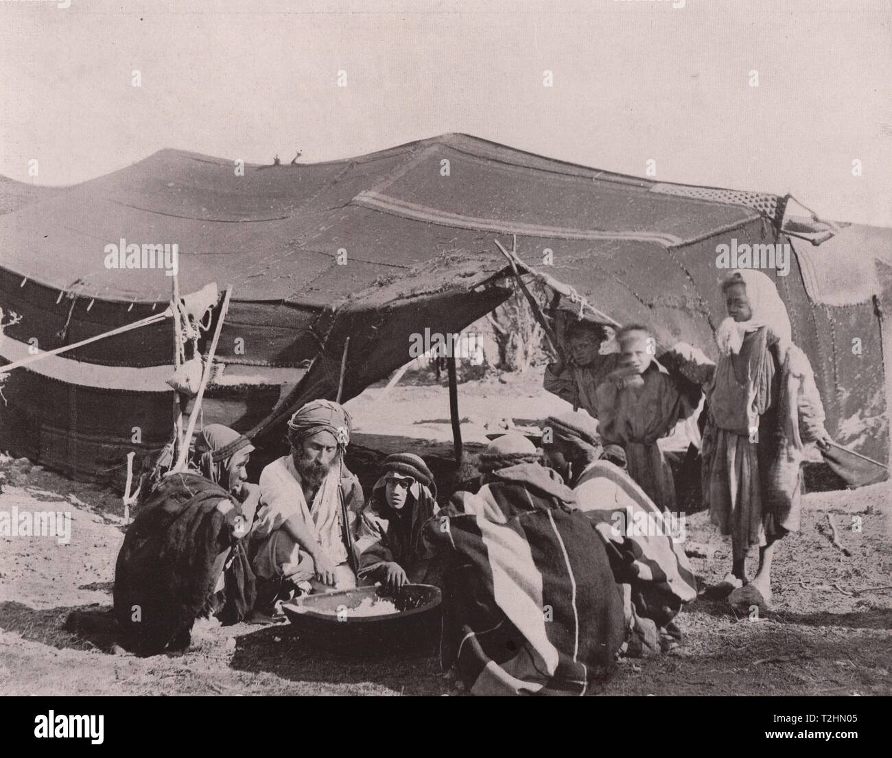 Tipi Moabiton - Beduino ai pasti Foto Stock