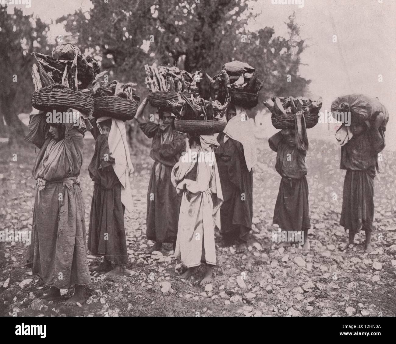 Tipi Moabiton - donne beduino trasportare il legno Foto Stock