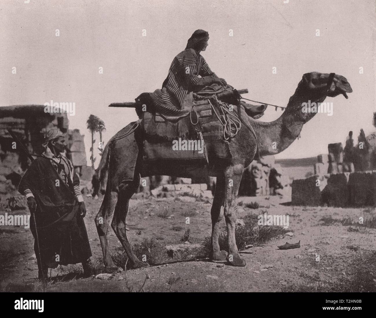 Tipi Moabiton - Beduino e camel-driver Foto Stock