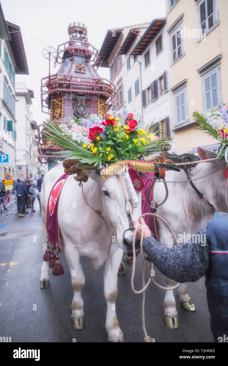 Un bue carrello per lo scoppio del carro festival (Lo Scoppio del Carro ) dove la Domenica di Pasqua un carrello della pirotecnica è accesa, Firenze, Toscana, Italia Foto Stock