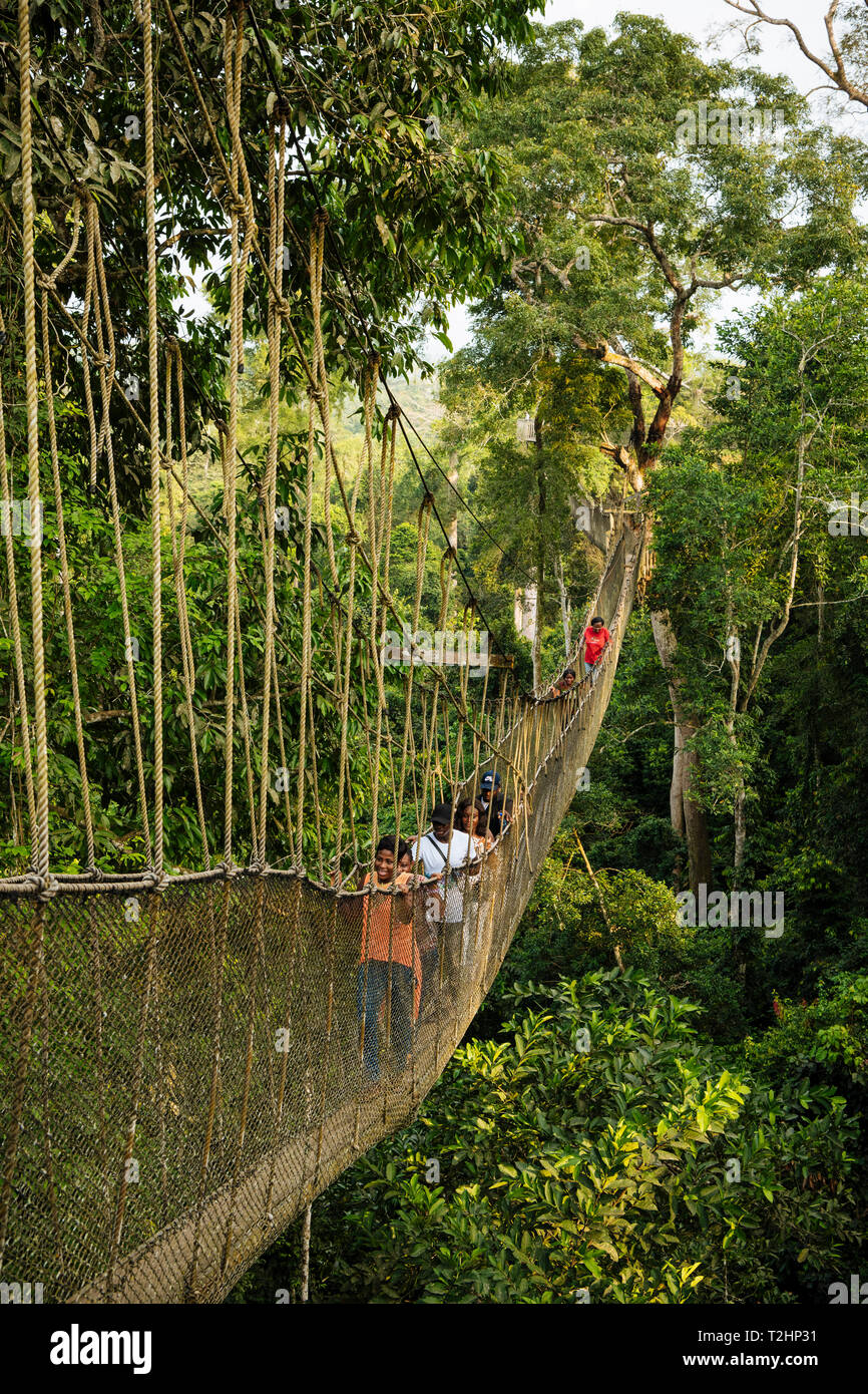 La gente sul pontile attraverso la foresta pluviale tropicale nel Kakum National Park, Ghana, Africa Foto Stock