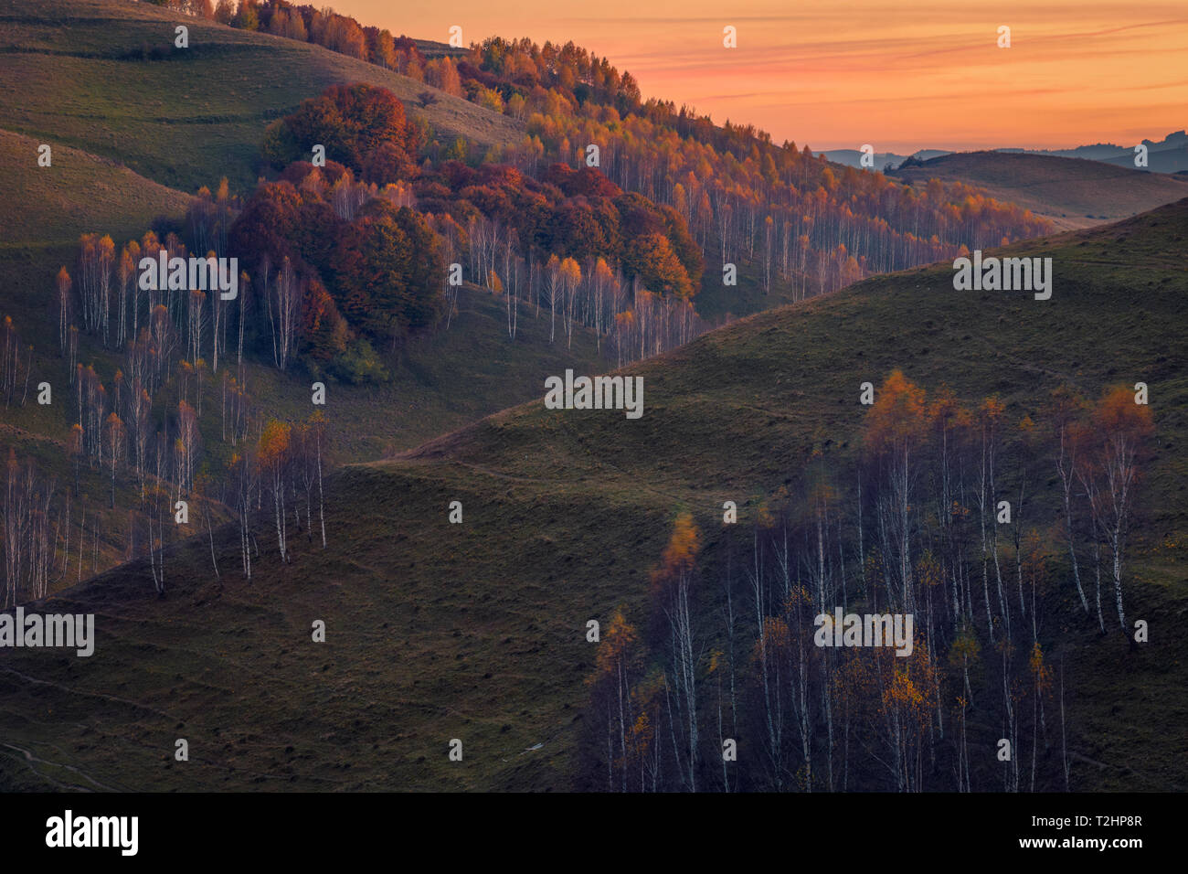 Colore di autunno foresta su una collina al tramonto con una bellissima vista sulle colline e con un cielo vibrante in background Foto Stock